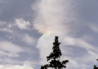 sun dogs